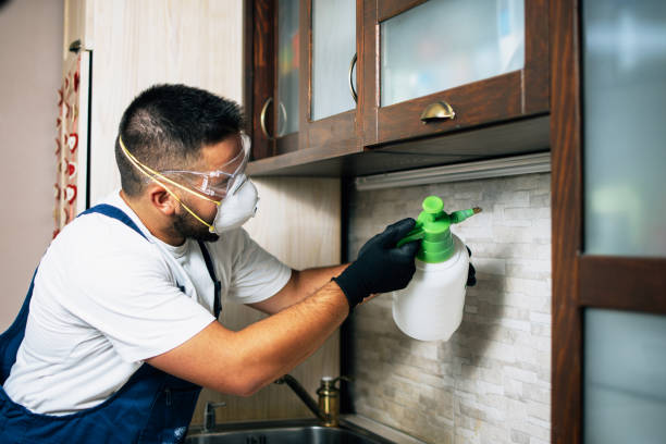 Best Best Pest Control Companies  in Van Vleck, TX