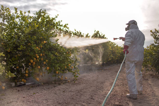 Trusted Van Vleck, TX Pest Control Experts