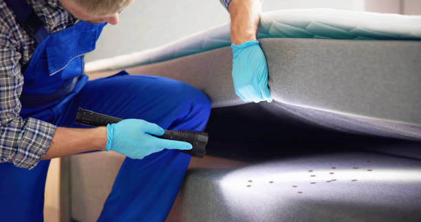 Best Wasp Removal Services  in Van Vleck, TX
