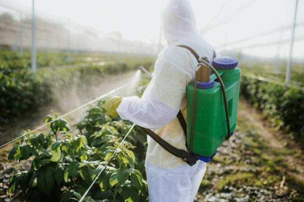 Best Mosquito Control Services  in Van Vleck, TX